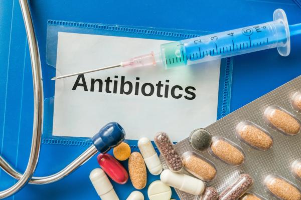 Antimicrobial Resistance, OTC Antibiotics, FDA Oversight