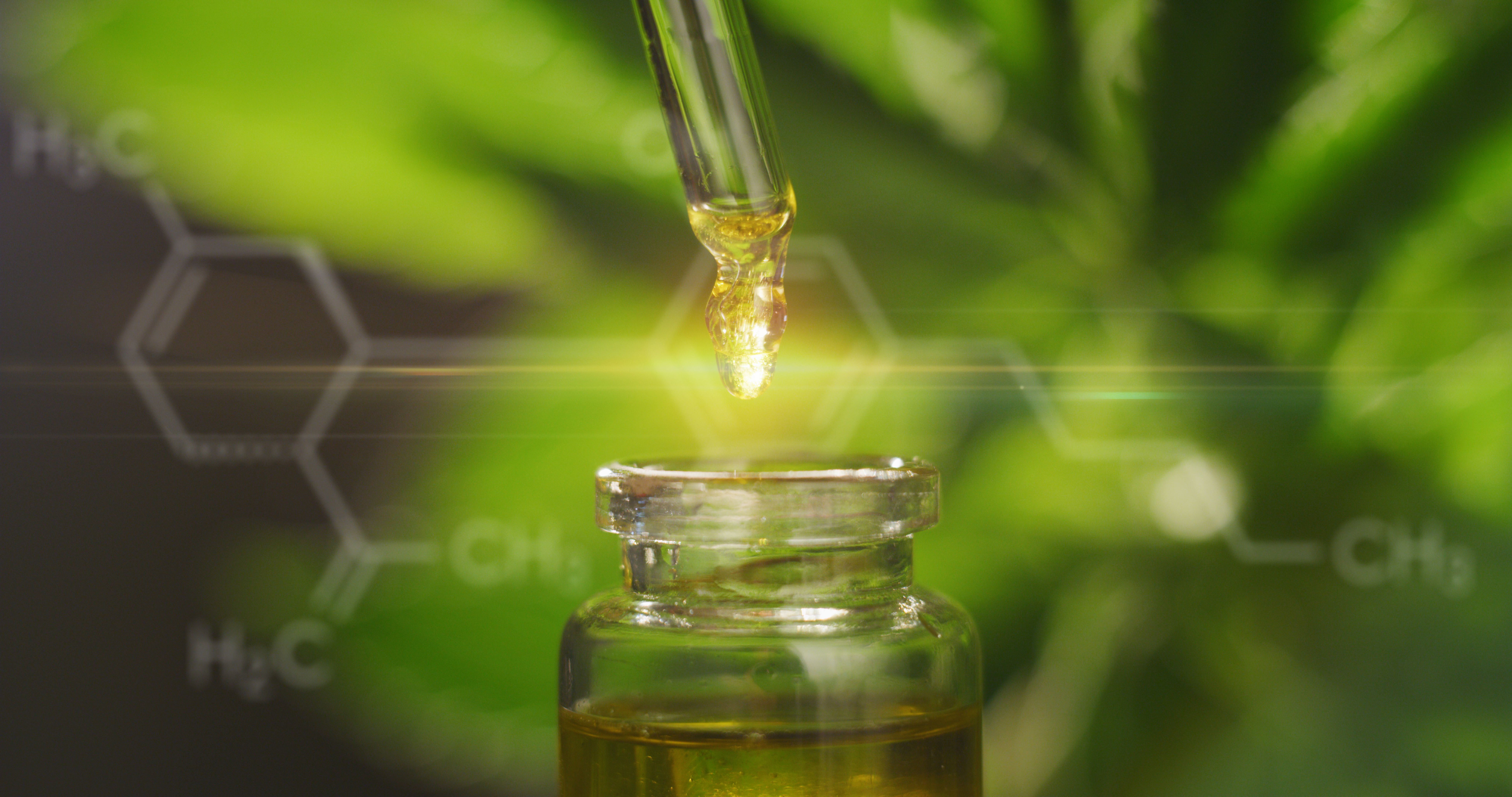 What’s the Difference Between CBD and THC?