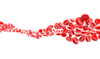 Red Blood Cells