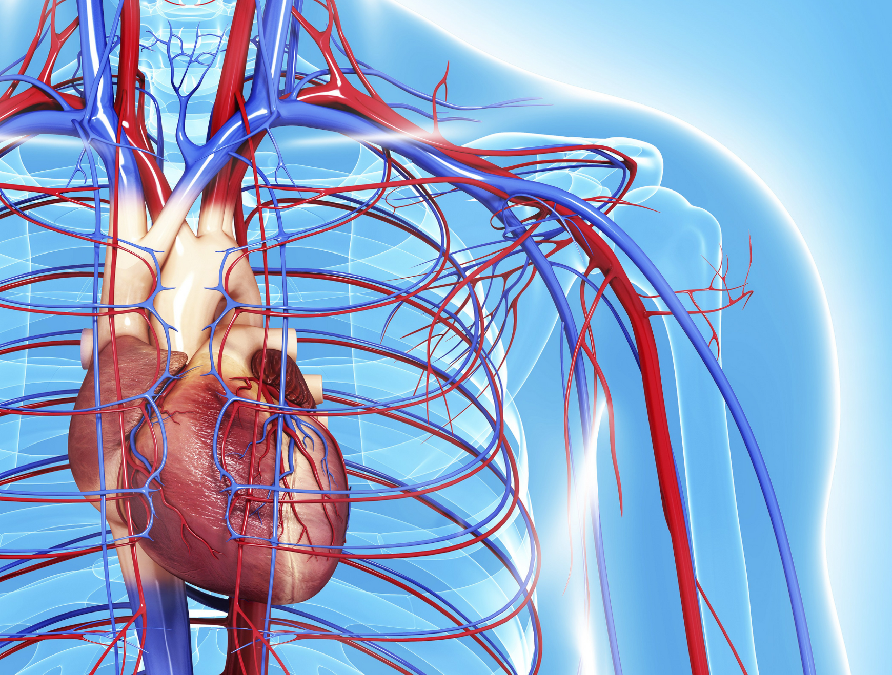 Cardiovascular clinical