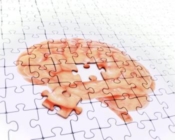 Brain Memory and Concentration