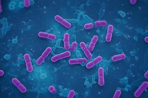 Pneumococcal Meningitis, PCVs, India