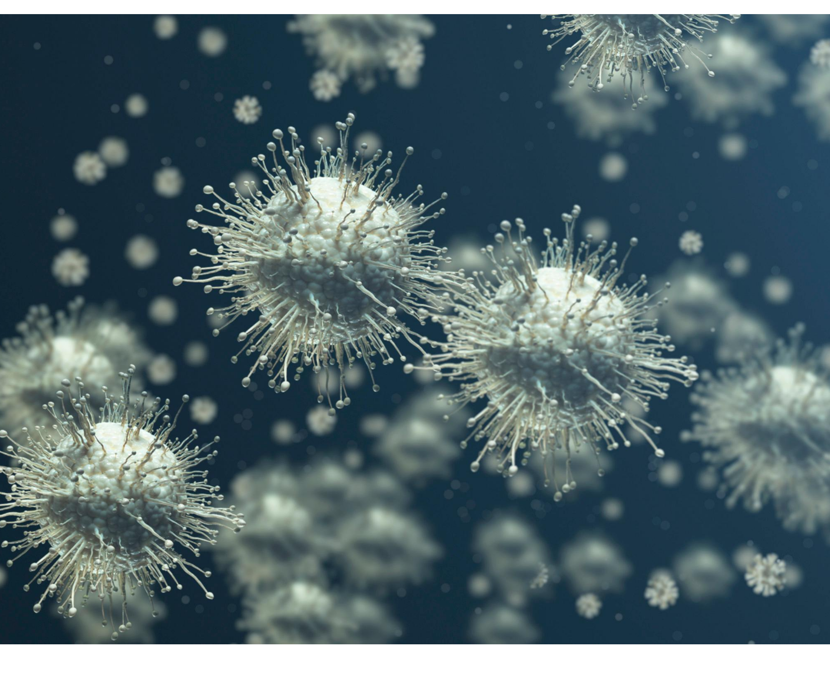 Influenza