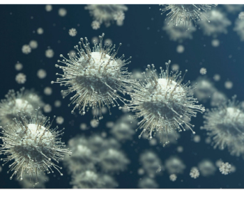 Influenza