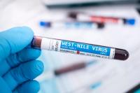 West Nile Virus Activity Climbs in 2026, Primarily Impacting Arizona