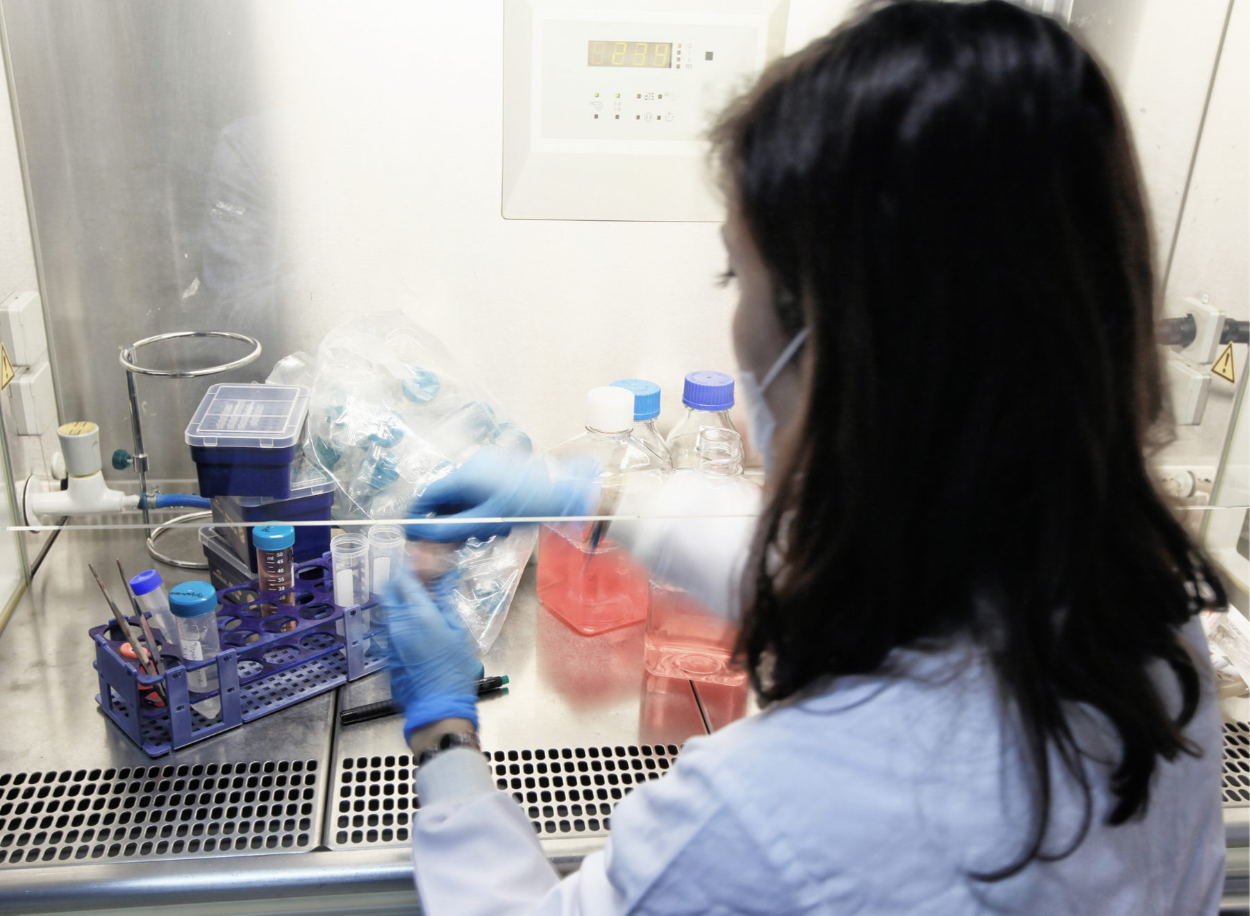 COVID-19 antibody research