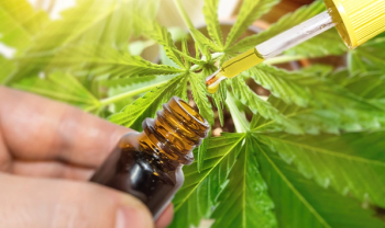 CBD oil 