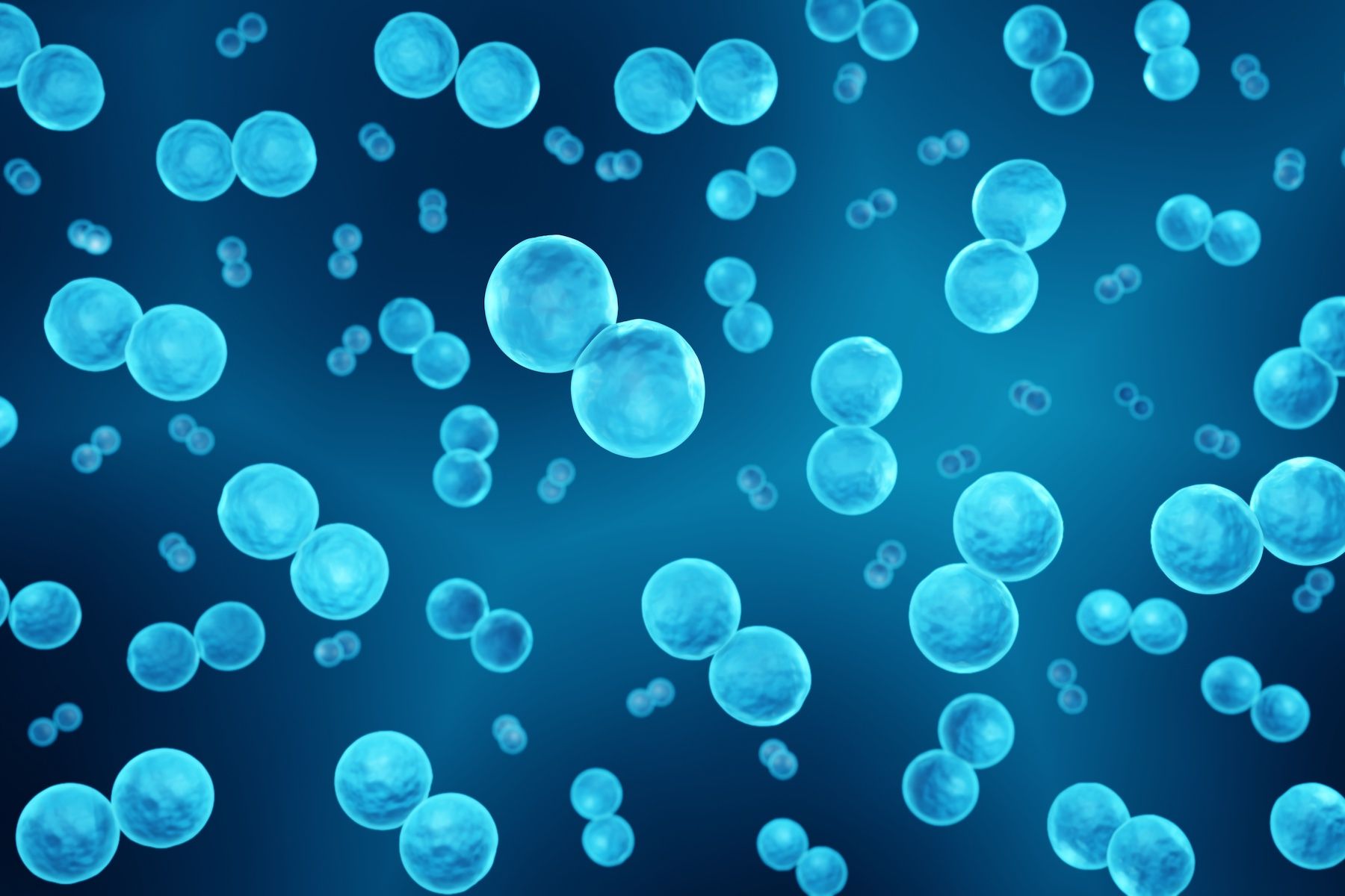 IPD, Pneumococcal Disease, Pneumococcal Serotypes, Respiratory Disease Surveillance
