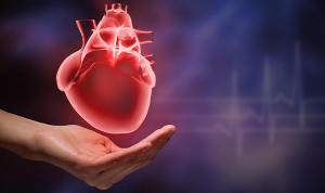 hand holding heart illustration