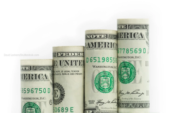 Dollar bills growing