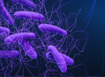 an image of drug resistant bacteria