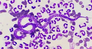 Heartworm