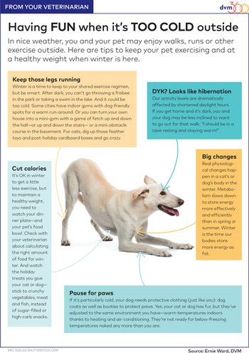 veterinary-handout-ErnieWard_ColdWeather-450px.jpg