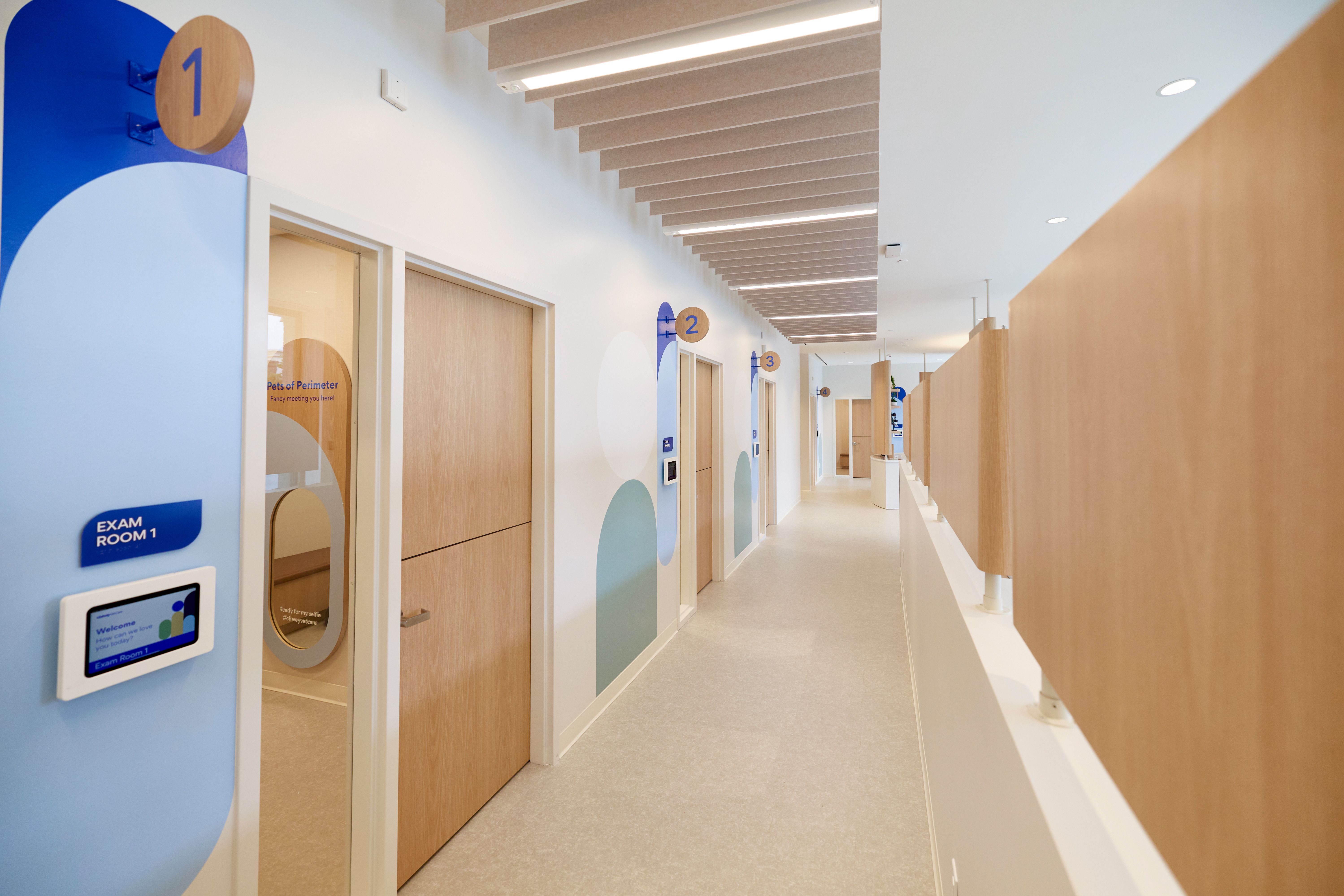 New veterinary clinics opening in the country New veterinary clinics opening in the country