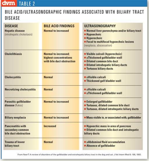 what causes a blocked bile duct in dogs