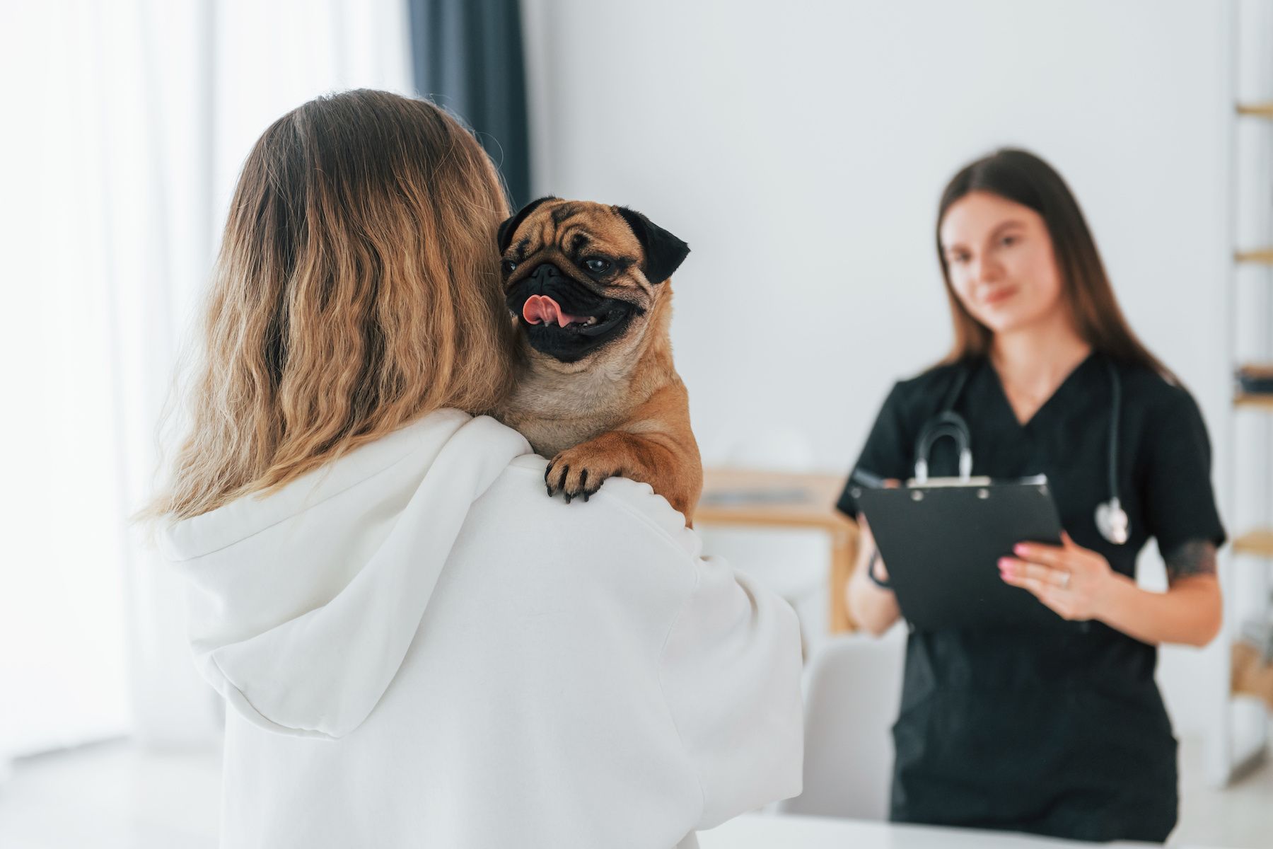 pet and vet