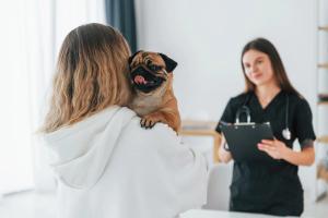 Pet and vet