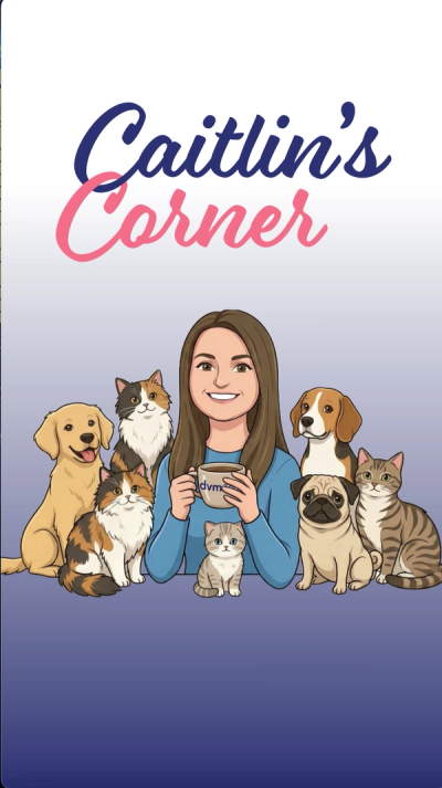 Tasha McNerney: The road to VTS