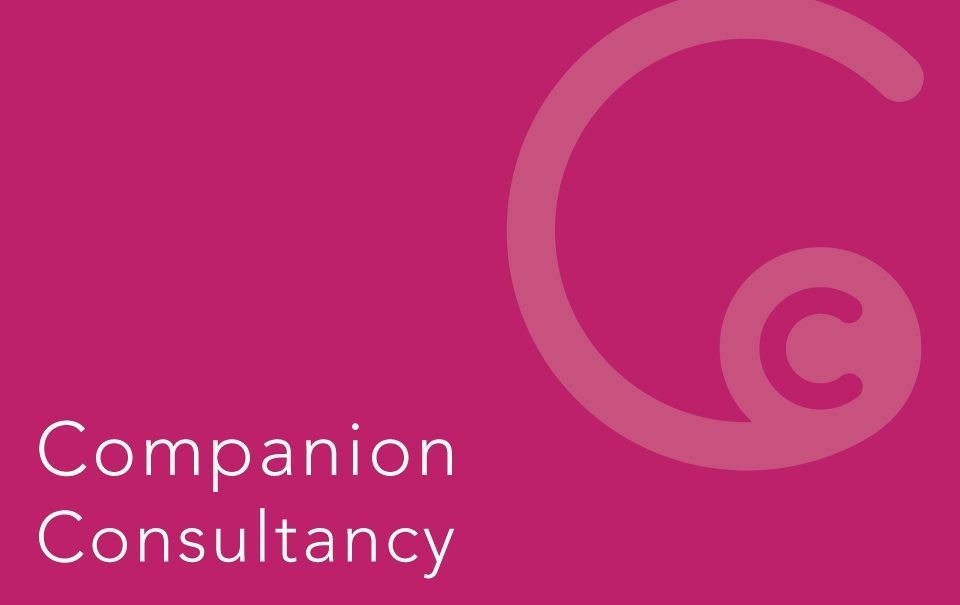 SAP Partners | <b>Companion Consultancy</b>