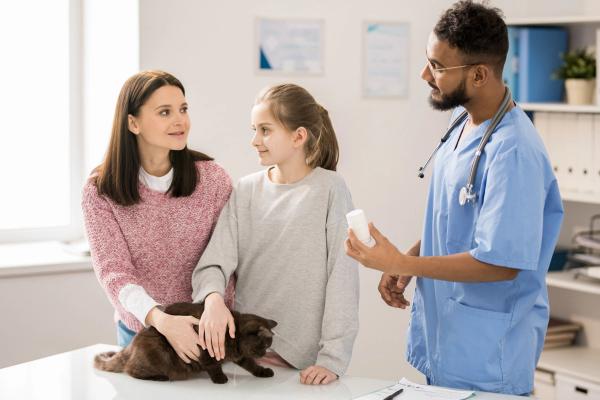 How to talk to clients about arthritis