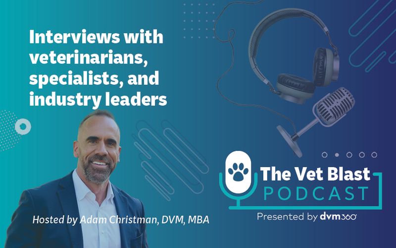 Podcasts