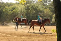 A closer look at therapeutic horseback riding