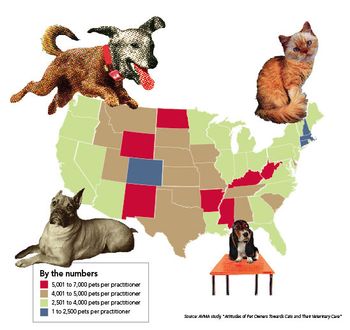 veterinary_tail_map_large-534736-1384675014658.jpg