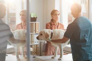 Why and how to educate your clients about One Health