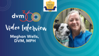 Veterinary technicians are seen as 'magical' professionals
