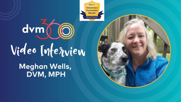 Veterinary technicians are seen as 'magical' professionals