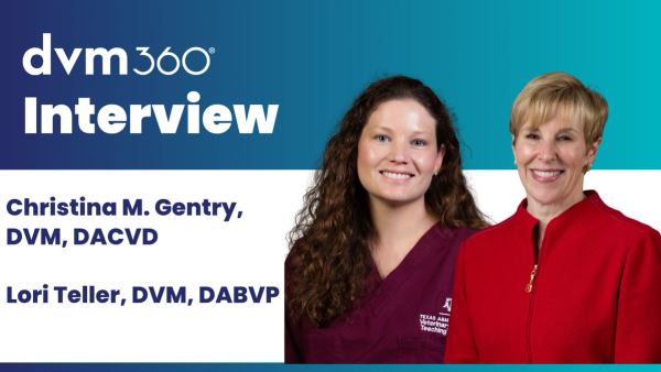 Managing canine atopic dermatitis: Addressing financial barriers, antibiotic stewardship, and the long game