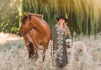 CBD in horses