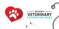 AAVSB approves NAVTA’s veterinary technician representation request