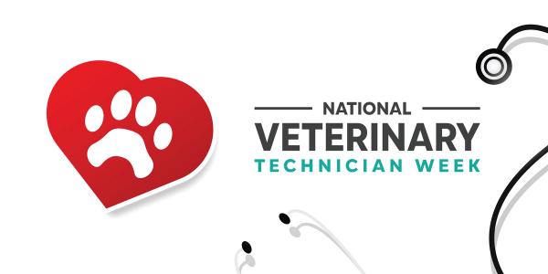 AAVSB approves NAVTA’s veterinary technician representation request