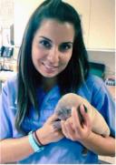 Hilal Dogan, BVSc, CCTP