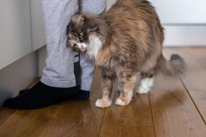 Photo: Nataliya/Adobe Stock