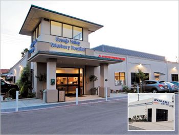Conejo_exterior.jpg