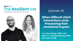 When difficult client interactions stick: Processing their emotional impact