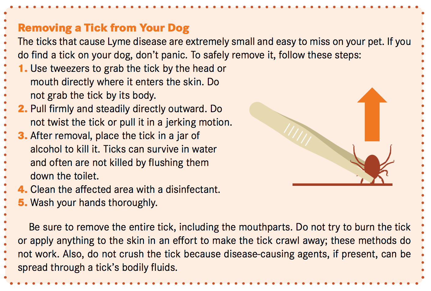 antibiotic for tick bite dog