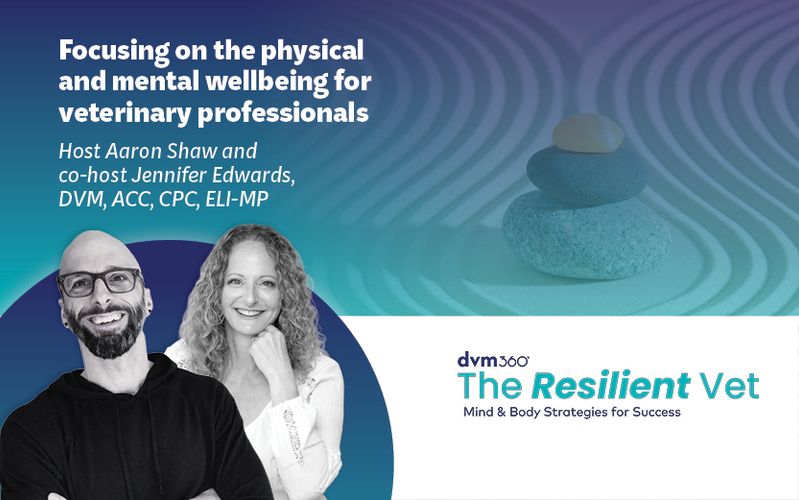 The Resilient Vet: Mind and Body Strategies for Success