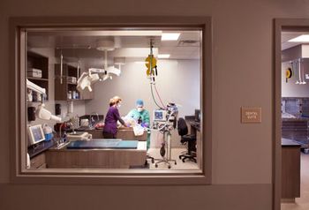 veterinary-WheatRidgeAnimalHospital_Dental_Suite-450px.jpg