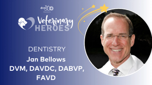 Veterinary Heroes: Jan Bellows, DVM, DAVDC, DABVP (Canine, Feline), FAVD