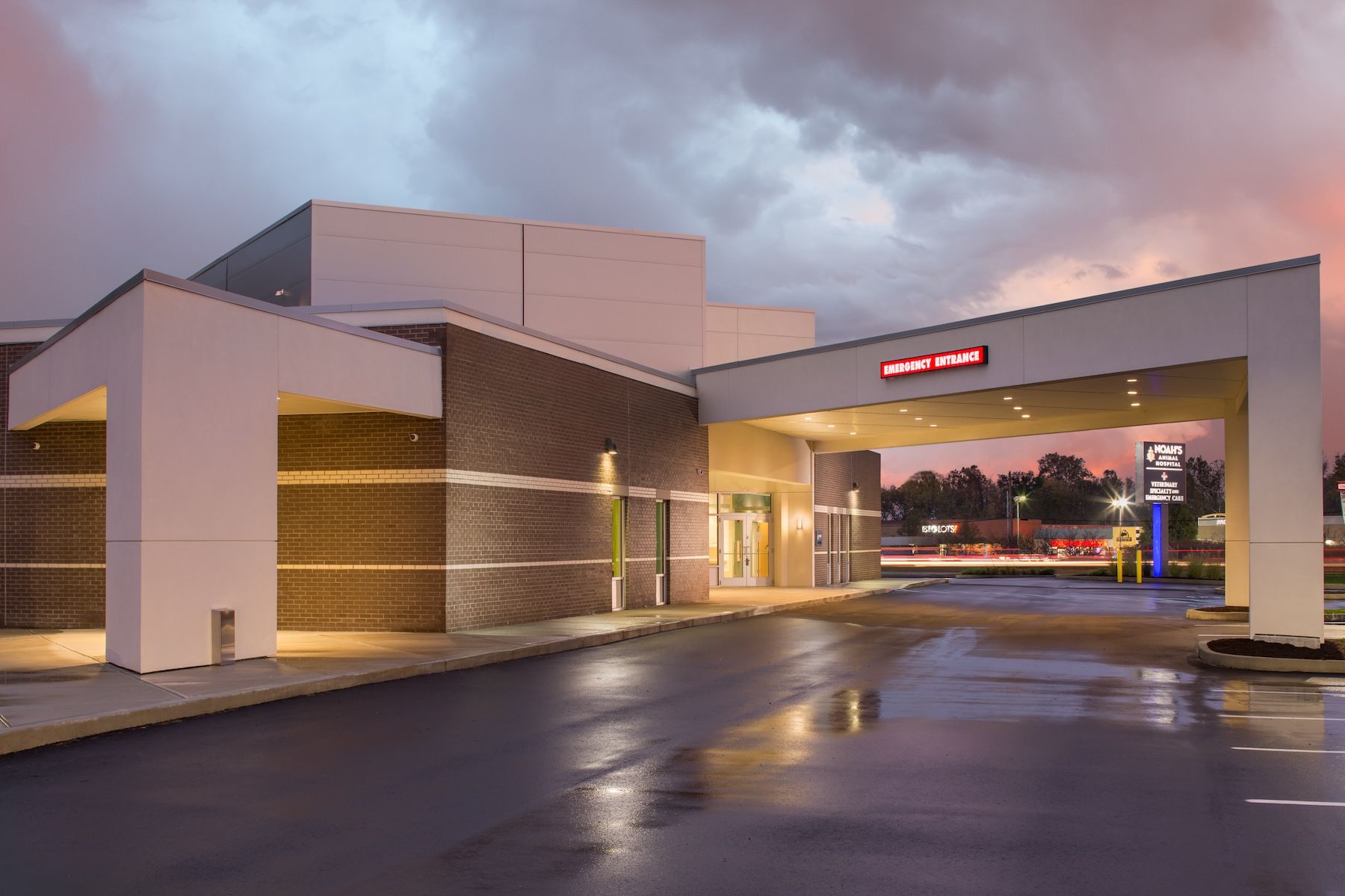 Veterinary parking lot considerations