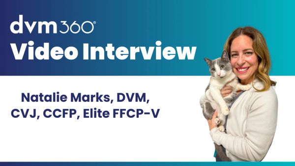 Chronic kidney disease in cats isn’t just age-related