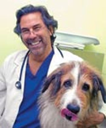 veterinary_dvm0911_NYC-738268-1384181841459.jpg