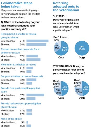 shelterdata secondchart.jpg