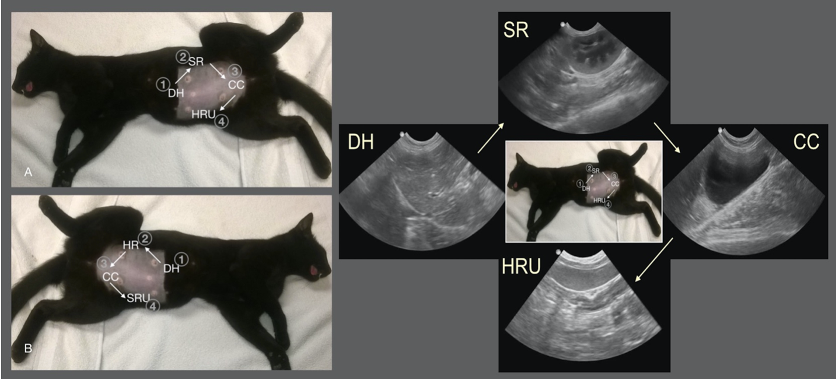 Up your imaging game: The power of AFAST