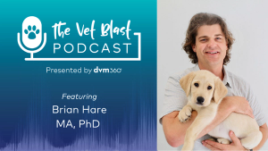 How to decode the puppy mindset to better understand behavior