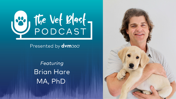 How to decode the puppy mindset to better understand behavior