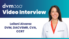 The diagnostic puzzle of canine forelimb lameness